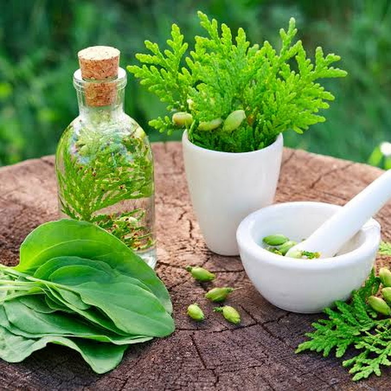 HERBAL MEDS TV