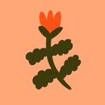 ❀ toni darling frank ❀