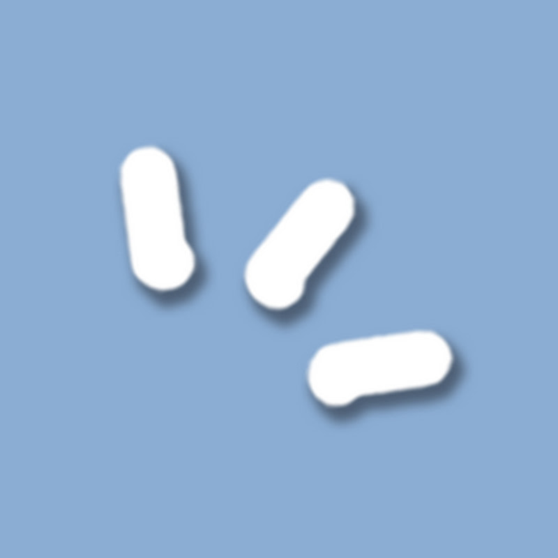 Tloppy (Pendidikan Kulit)