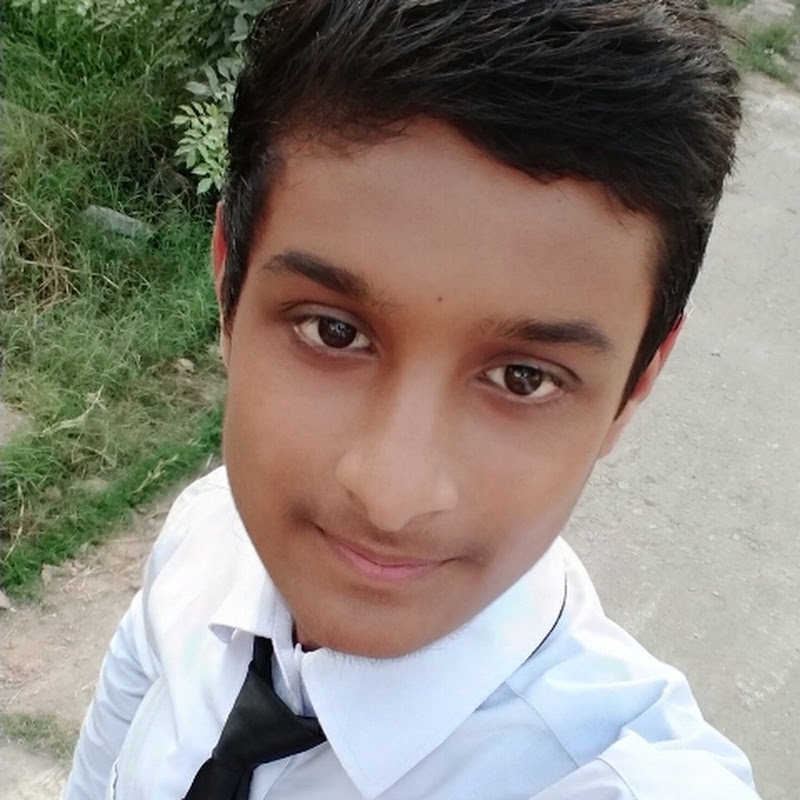 Vision Ankit