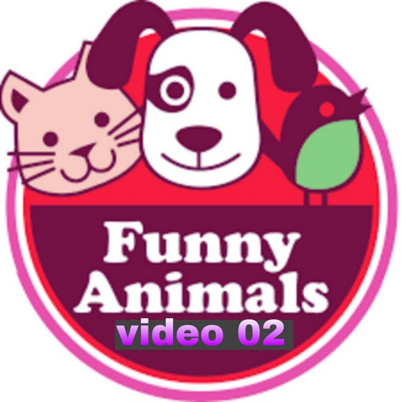 Funny animals video 02
