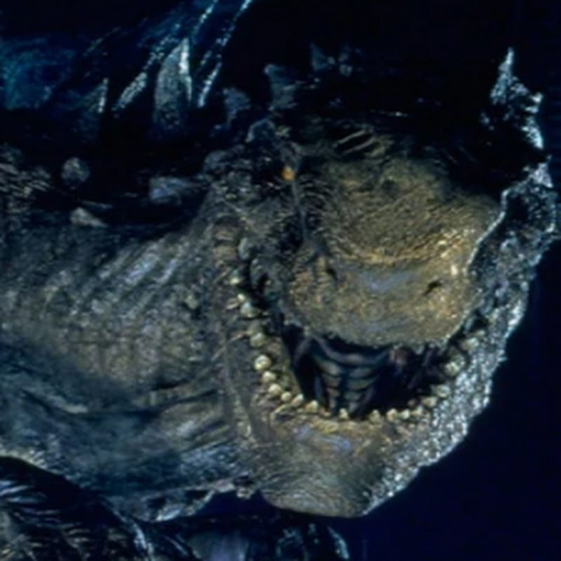 Zilla