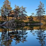 Tretopphytta 🇧🇻 Knut Eivind Birkeland