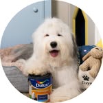 Dulux