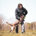 David Herbert, Professional Dog Trainer