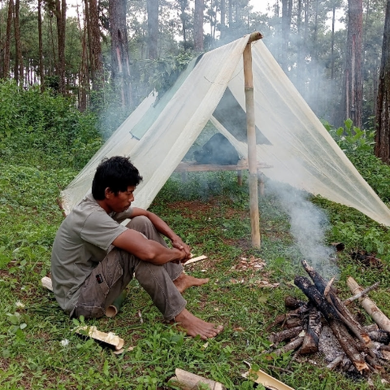 iman camping
