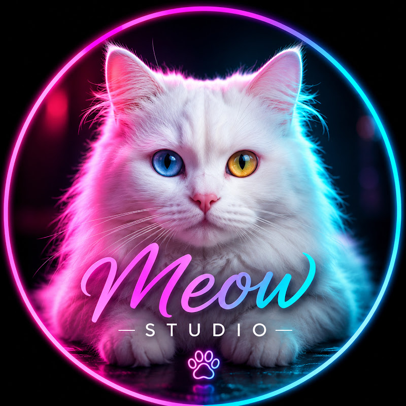     Meow Studio