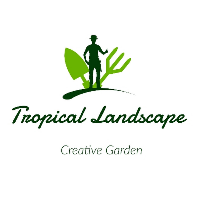 Tropical Landscape