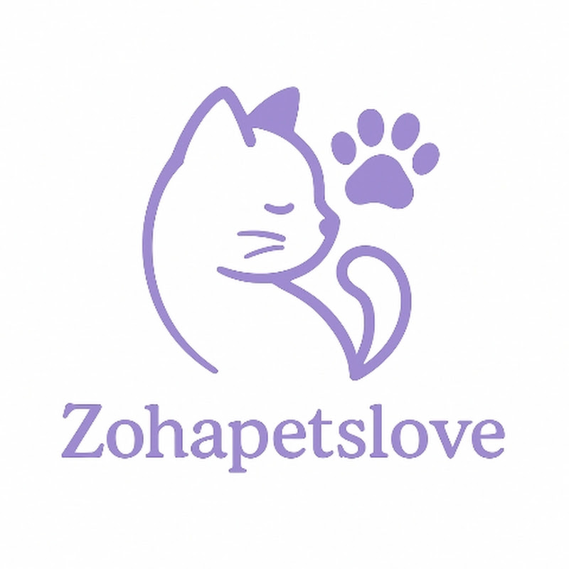 Zoha pets love 