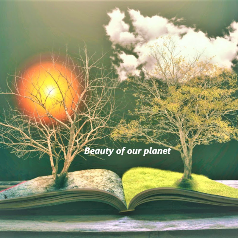 Beauty of our planet