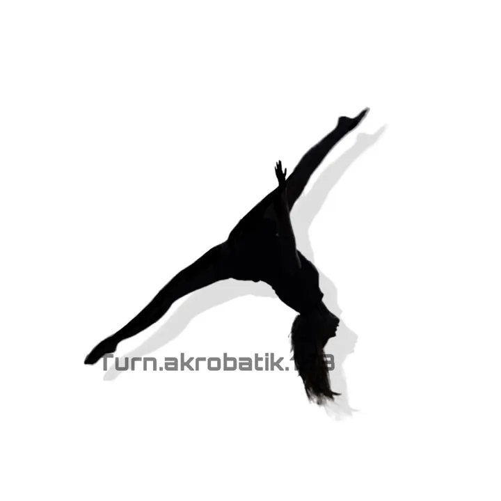 turn.akrobatik.123