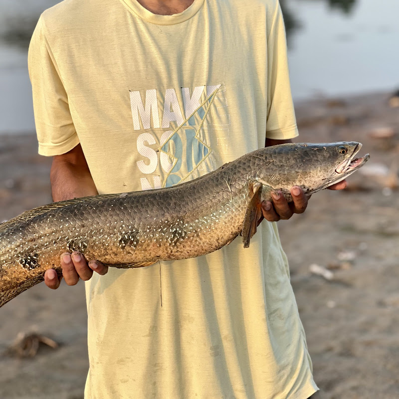 Fishingking2.o