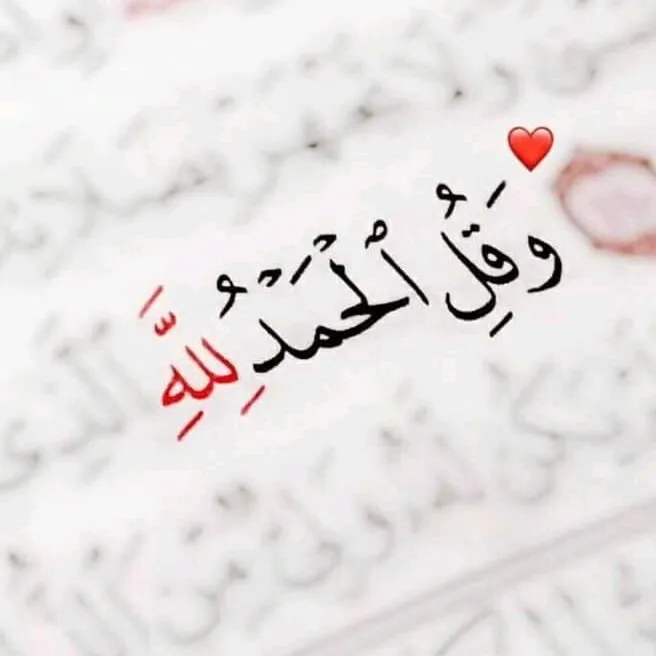عمرو عادل // .Amr Adel