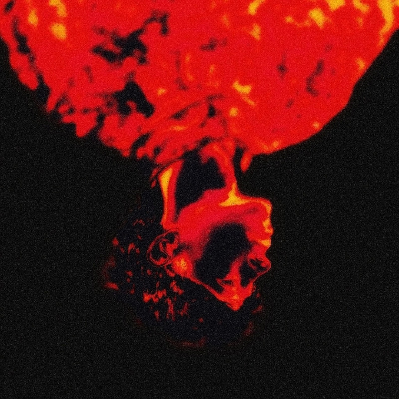 Miguelacho