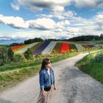 👉MRS EILEEN TOH 🌻( 卓太太）