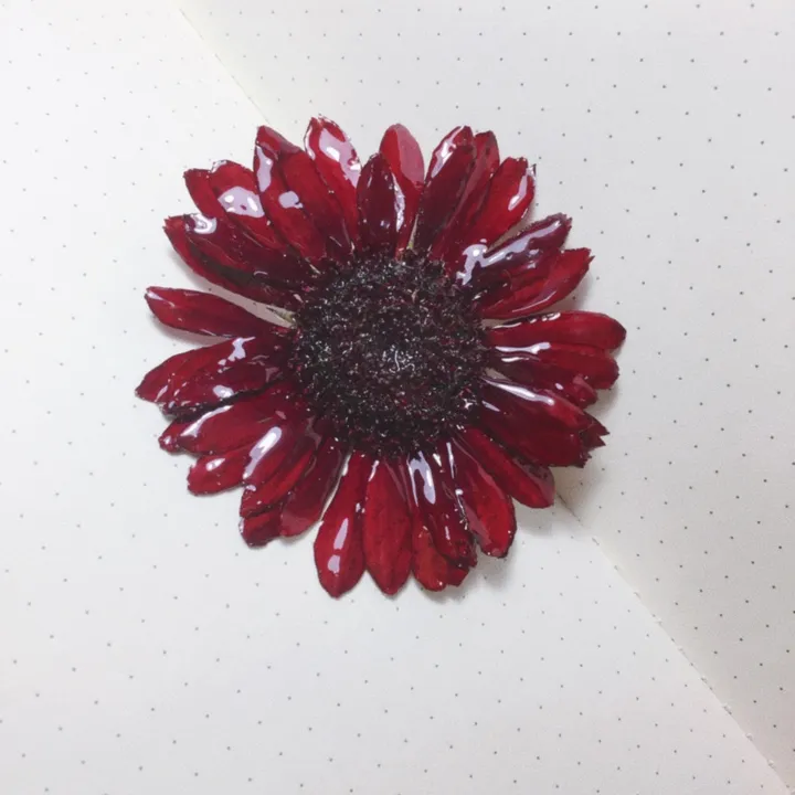 Tốc tốc cũ của bạn Gin