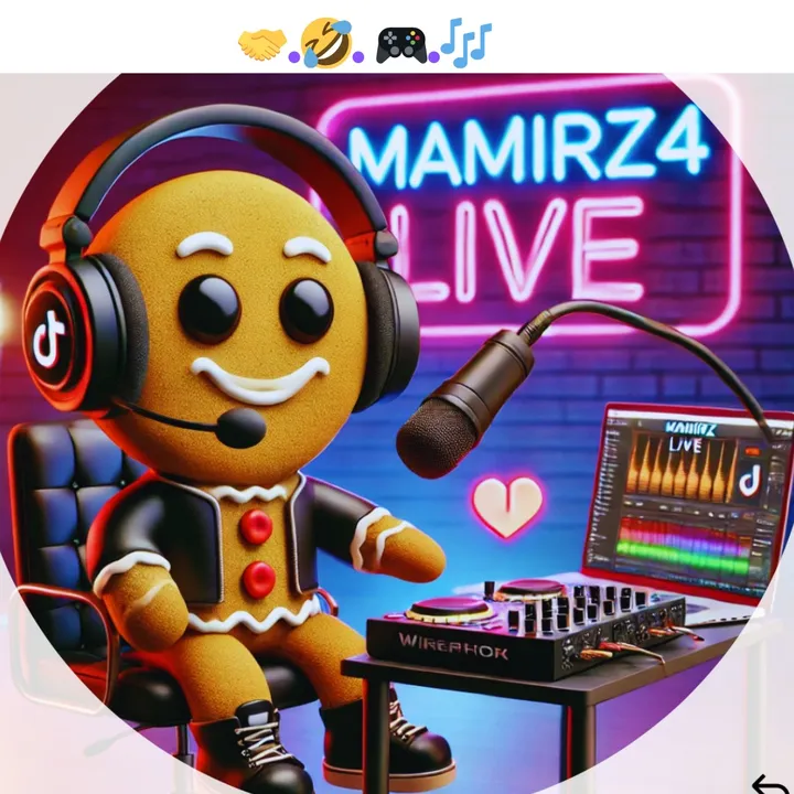 MAMIRZ4