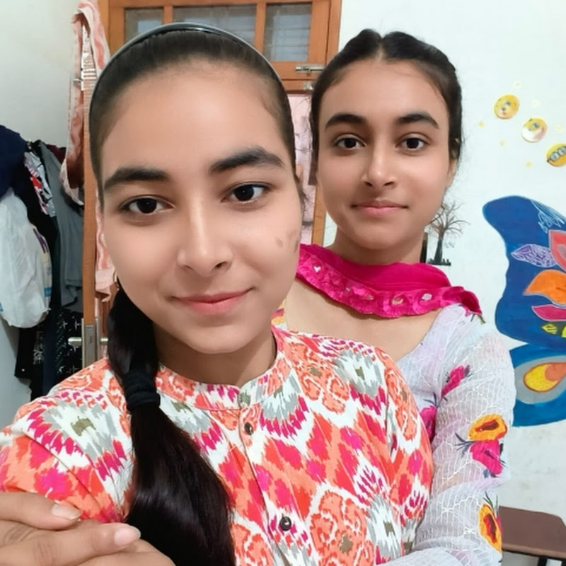 Shivani (small business)