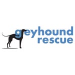 Greyhound Rescue 🐾