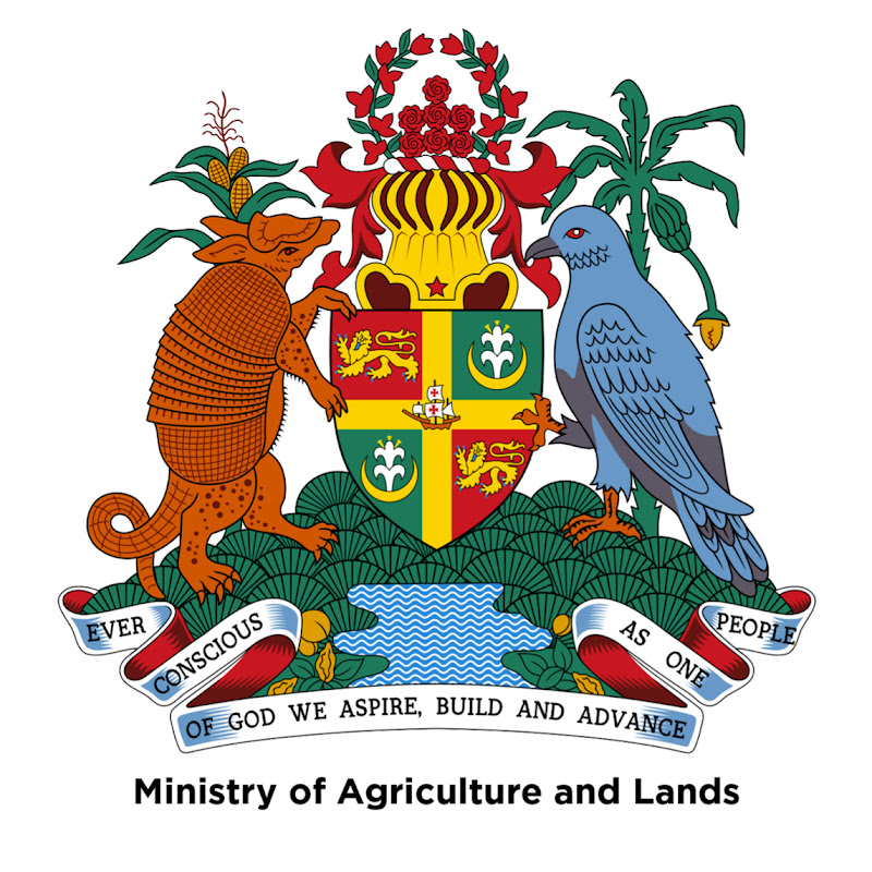 MOALFC Grenada