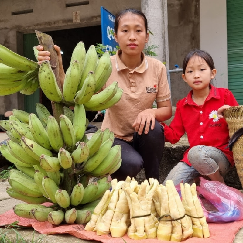 Triệu Thị Dất