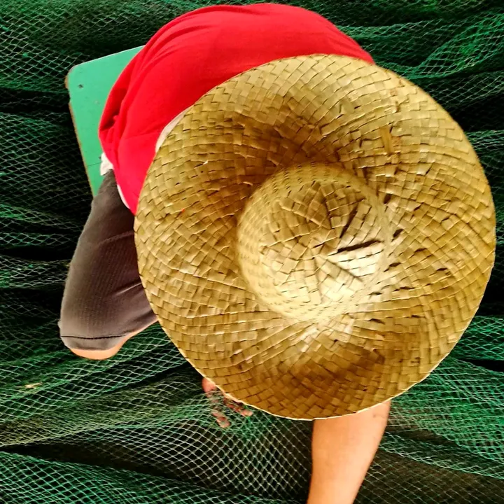 SamNest