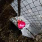 Susie Castellano 📸