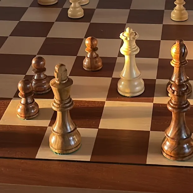 Chess teacher