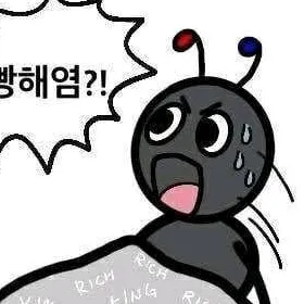 Antlee앤트리