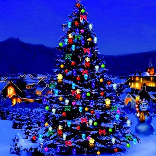 _..christmas_2025._