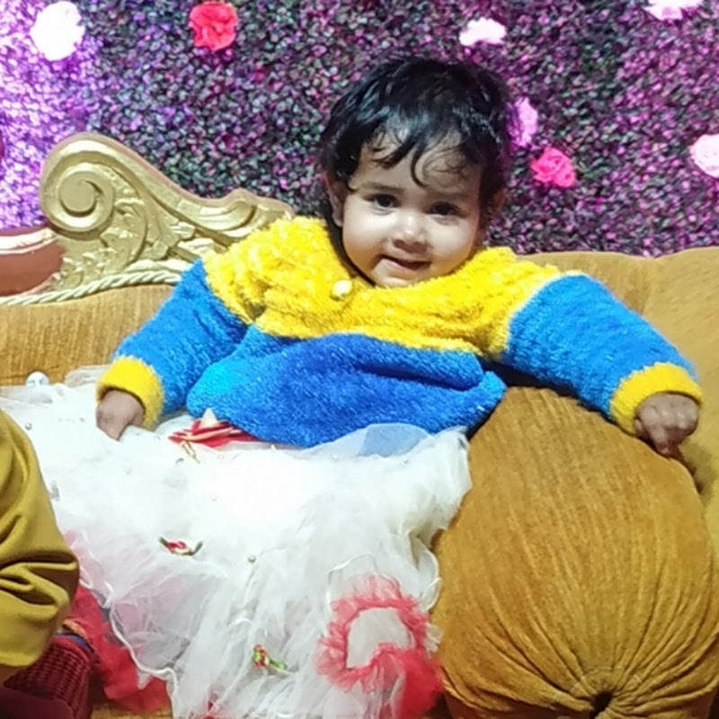 Kratika Shorts and Vlogs