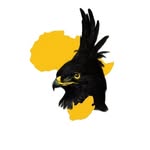 African Raptor Centre