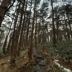 woong__kr