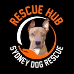 Rescue Hub 🐾