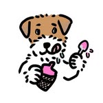 犬とおでかけ｜アウトドア犬ルルとさちこ