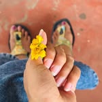 अंजूजिमनास्टिका