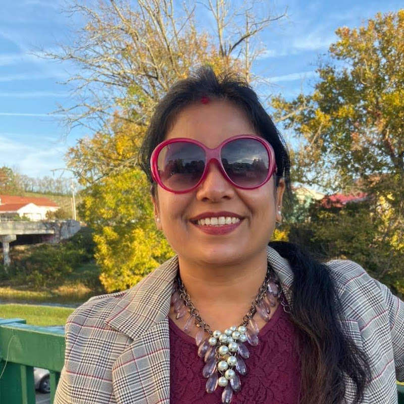 Vlogging Desi
