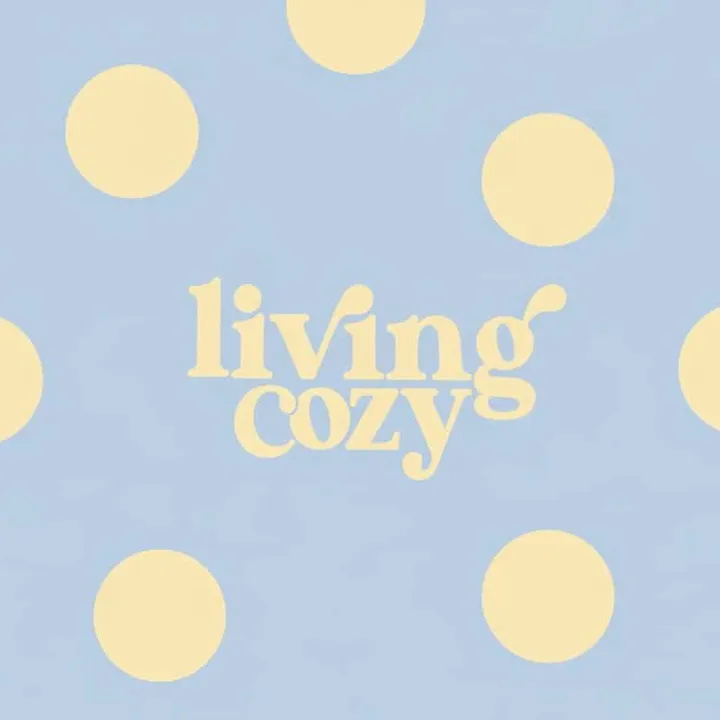 Living cozy store