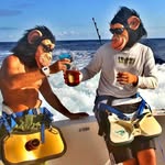 Zoom Fishing Team 🇧🇷