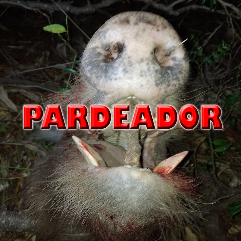 Pardeador