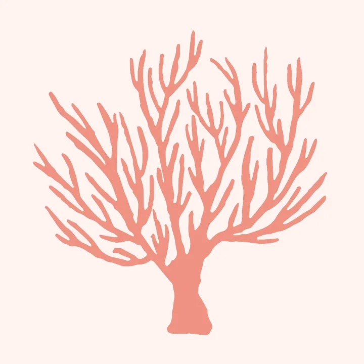 Coral Ceramics