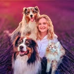 La Patt’Enchantée