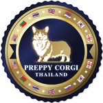 𝐏𝐑𝐄𝐏𝐏𝐘  𝐂🦊𝐑𝐆𝐈  𝐅𝐀𝐌𝐈𝐋𝐘