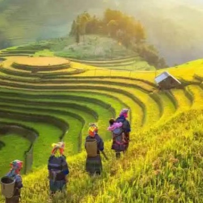 Cuộc sống ở bản