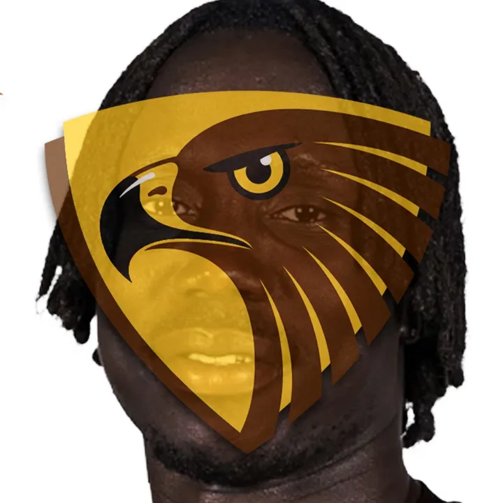 hawthornfc