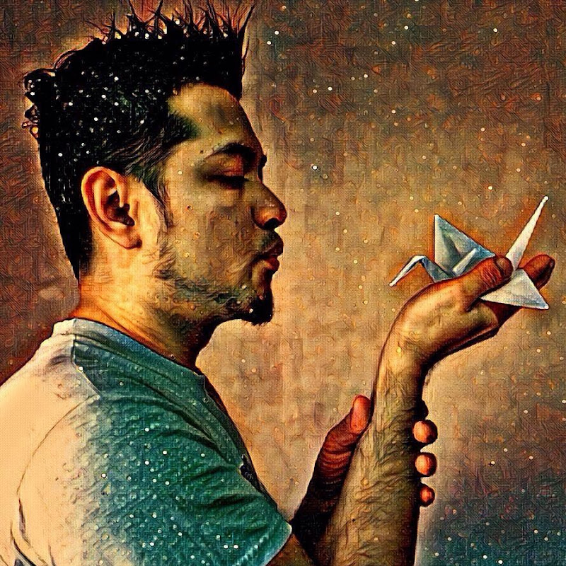 Sarjigami Origami
