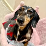 𝔹𝕚𝕝𝕦𝕥𝕫𝕒