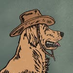 midnightbandit.us