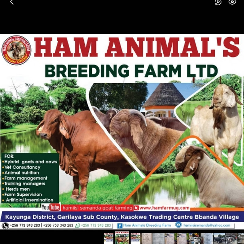 Ham Animal Breeding Farm