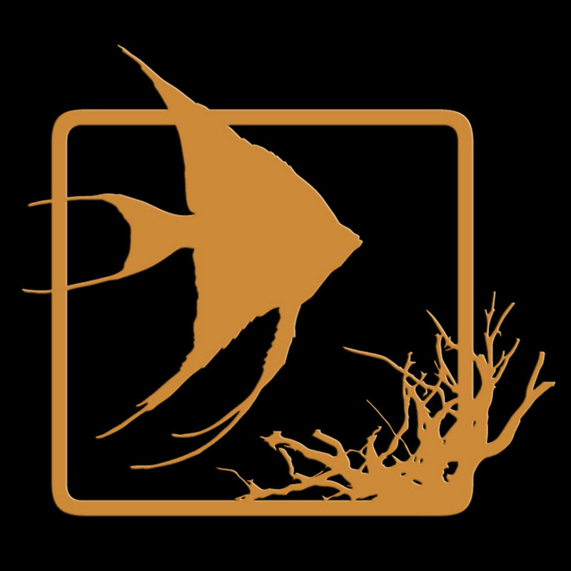 BIOTOPE AQUARIUM Project